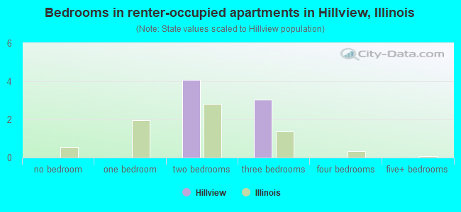 Bedrooms in renter-occupied apartments in Hillview, Illinois