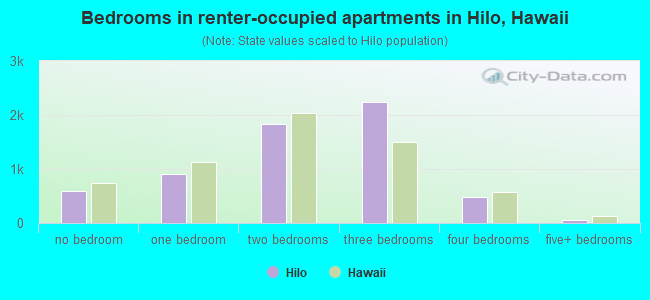 Bedrooms in renter-occupied apartments in Hilo, Hawaii