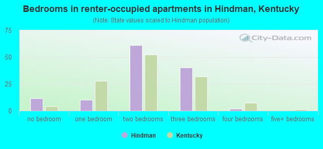 Bedrooms in renter-occupied apartments in Hindman, Kentucky