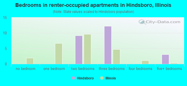 Bedrooms in renter-occupied apartments in Hindsboro, Illinois