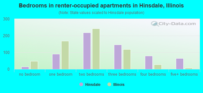 Bedrooms in renter-occupied apartments in Hinsdale, Illinois