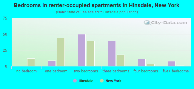 Bedrooms in renter-occupied apartments in Hinsdale, New York