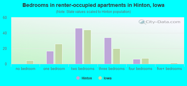 Bedrooms in renter-occupied apartments in Hinton, Iowa
