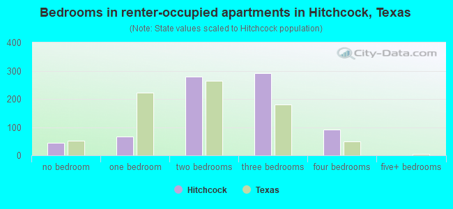 Bedrooms in renter-occupied apartments in Hitchcock, Texas