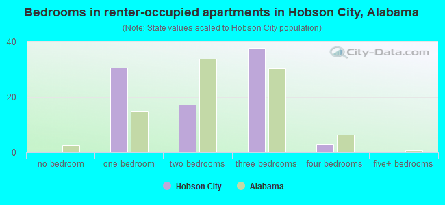 Bedrooms in renter-occupied apartments in Hobson City, Alabama