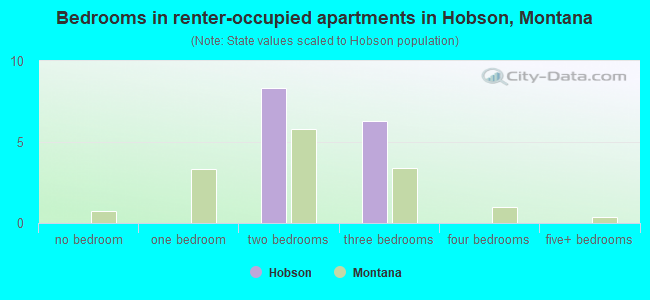 Bedrooms in renter-occupied apartments in Hobson, Montana