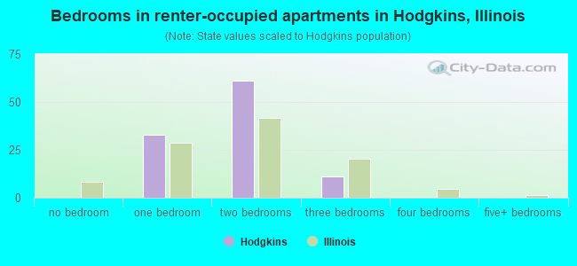 Bedrooms in renter-occupied apartments in Hodgkins, Illinois