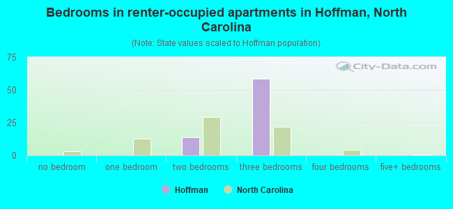 Bedrooms in renter-occupied apartments in Hoffman, North Carolina