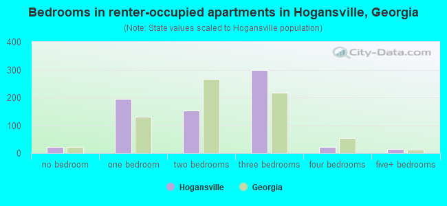 Bedrooms in renter-occupied apartments in Hogansville, Georgia