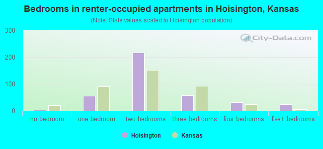 Bedrooms in renter-occupied apartments in Hoisington, Kansas