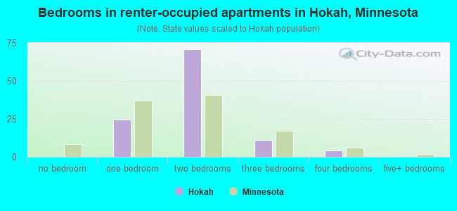 Bedrooms in renter-occupied apartments in Hokah, Minnesota