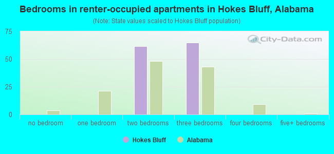Bedrooms in renter-occupied apartments in Hokes Bluff, Alabama