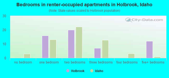 Bedrooms in renter-occupied apartments in Holbrook, Idaho