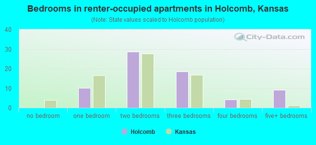 Bedrooms in renter-occupied apartments in Holcomb, Kansas