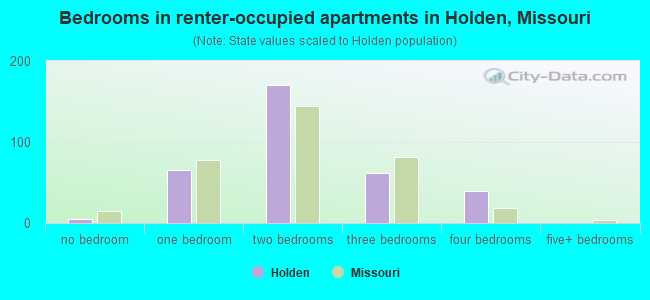 Bedrooms in renter-occupied apartments in Holden, Missouri