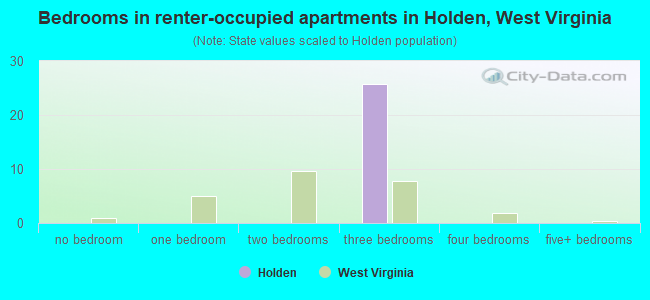 Bedrooms in renter-occupied apartments in Holden, West Virginia