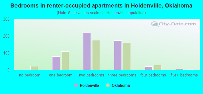 Bedrooms in renter-occupied apartments in Holdenville, Oklahoma