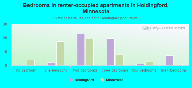 Bedrooms in renter-occupied apartments in Holdingford, Minnesota