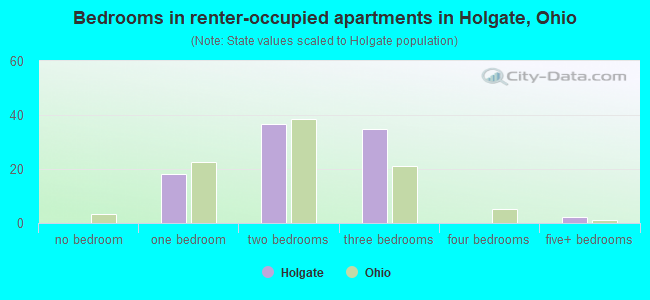 Bedrooms in renter-occupied apartments in Holgate, Ohio