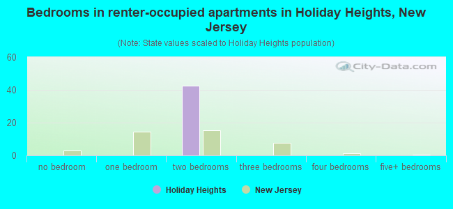 Bedrooms in renter-occupied apartments in Holiday Heights, New Jersey