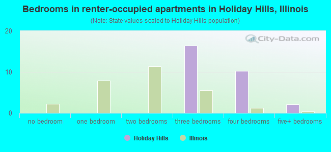 Bedrooms in renter-occupied apartments in Holiday Hills, Illinois