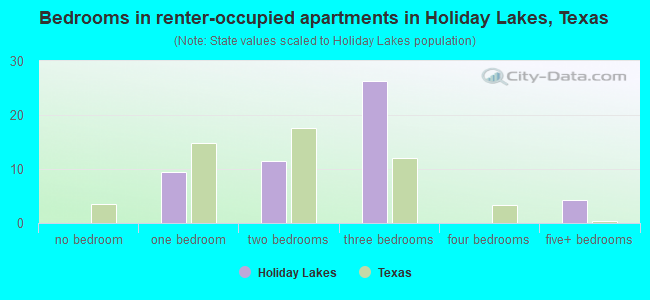 Bedrooms in renter-occupied apartments in Holiday Lakes, Texas