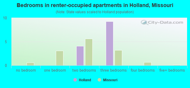 Bedrooms in renter-occupied apartments in Holland, Missouri