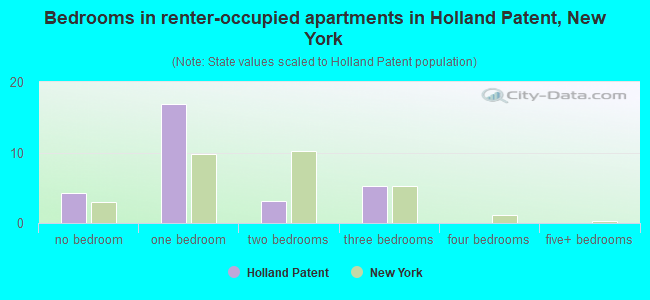 Bedrooms in renter-occupied apartments in Holland Patent, New York