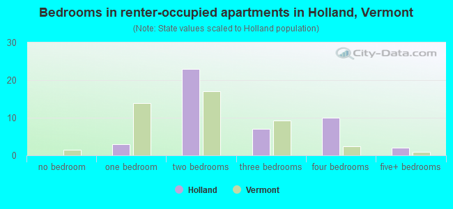 Bedrooms in renter-occupied apartments in Holland, Vermont