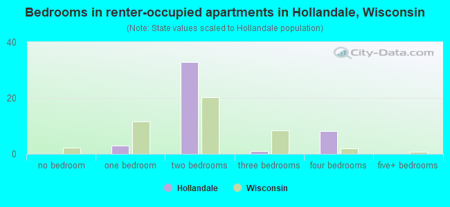 Bedrooms in renter-occupied apartments in Hollandale, Wisconsin