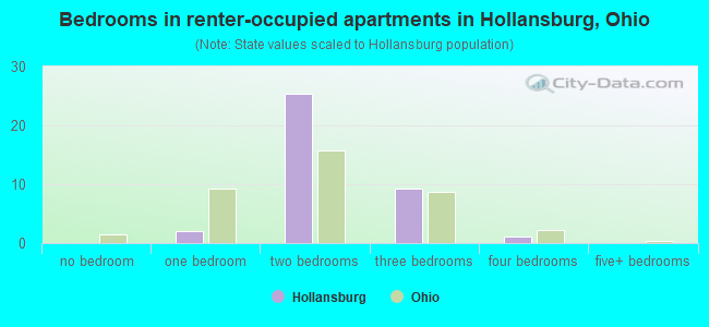 Bedrooms in renter-occupied apartments in Hollansburg, Ohio