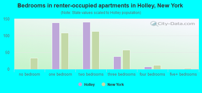 Bedrooms in renter-occupied apartments in Holley, New York