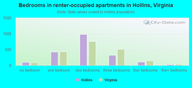 Bedrooms in renter-occupied apartments in Hollins, Virginia