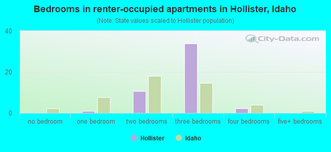 Bedrooms in renter-occupied apartments in Hollister, Idaho