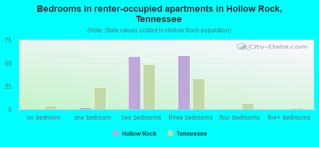 Bedrooms in renter-occupied apartments in Hollow Rock, Tennessee