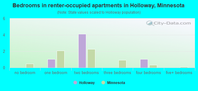 Bedrooms in renter-occupied apartments in Holloway, Minnesota