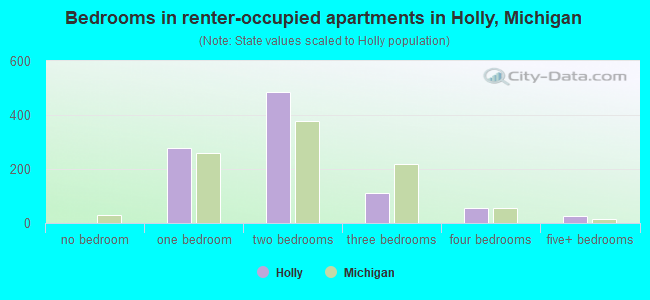 Bedrooms in renter-occupied apartments in Holly, Michigan