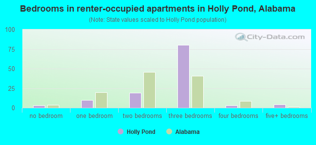 Bedrooms in renter-occupied apartments in Holly Pond, Alabama