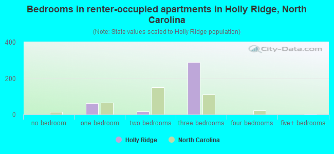 Bedrooms in renter-occupied apartments in Holly Ridge, North Carolina