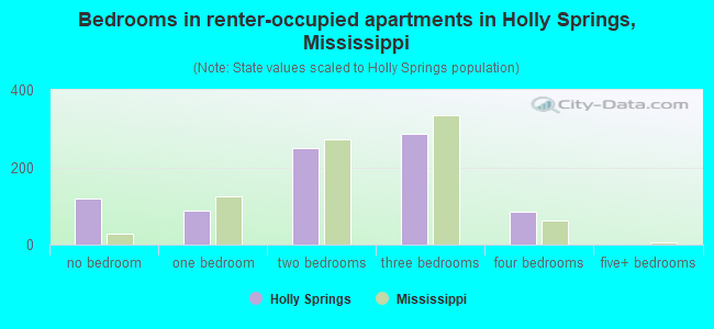 Bedrooms in renter-occupied apartments in Holly Springs, Mississippi