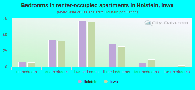 Bedrooms in renter-occupied apartments in Holstein, Iowa