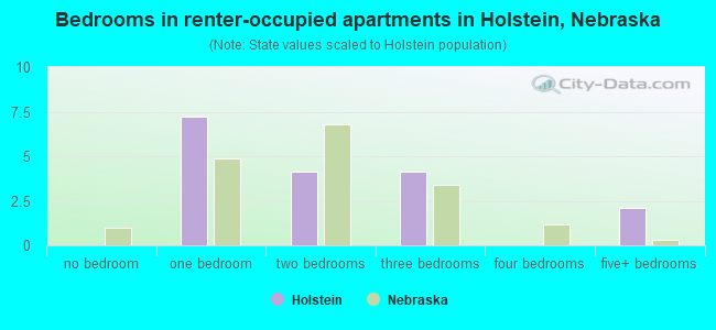 Bedrooms in renter-occupied apartments in Holstein, Nebraska