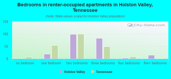 Bedrooms in renter-occupied apartments in Holston Valley, Tennessee