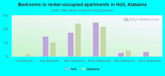 Bedrooms in renter-occupied apartments in Holt, Alabama