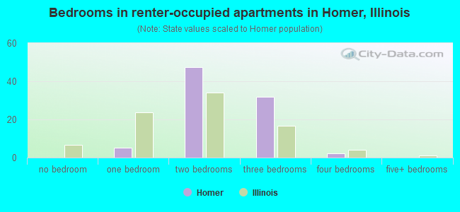 Bedrooms in renter-occupied apartments in Homer, Illinois
