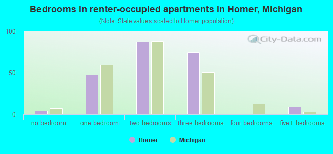 Bedrooms in renter-occupied apartments in Homer, Michigan
