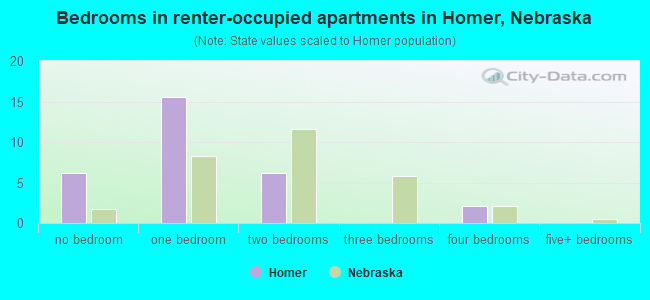 Bedrooms in renter-occupied apartments in Homer, Nebraska