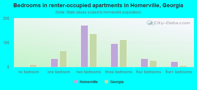 Bedrooms in renter-occupied apartments in Homerville, Georgia