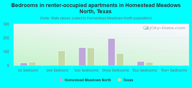 Bedrooms in renter-occupied apartments in Homestead Meadows North, Texas