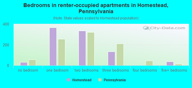 Bedrooms in renter-occupied apartments in Homestead, Pennsylvania